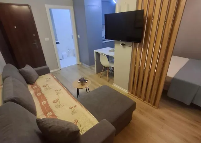 Enea 3 *